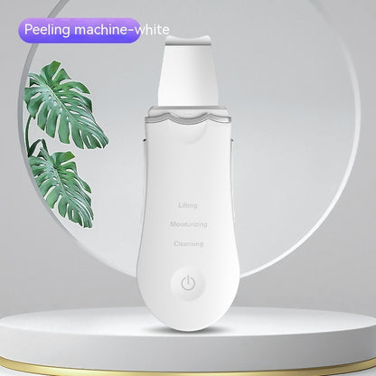 Ultrasonic Skin Cleaner Facial Vibration Instrument